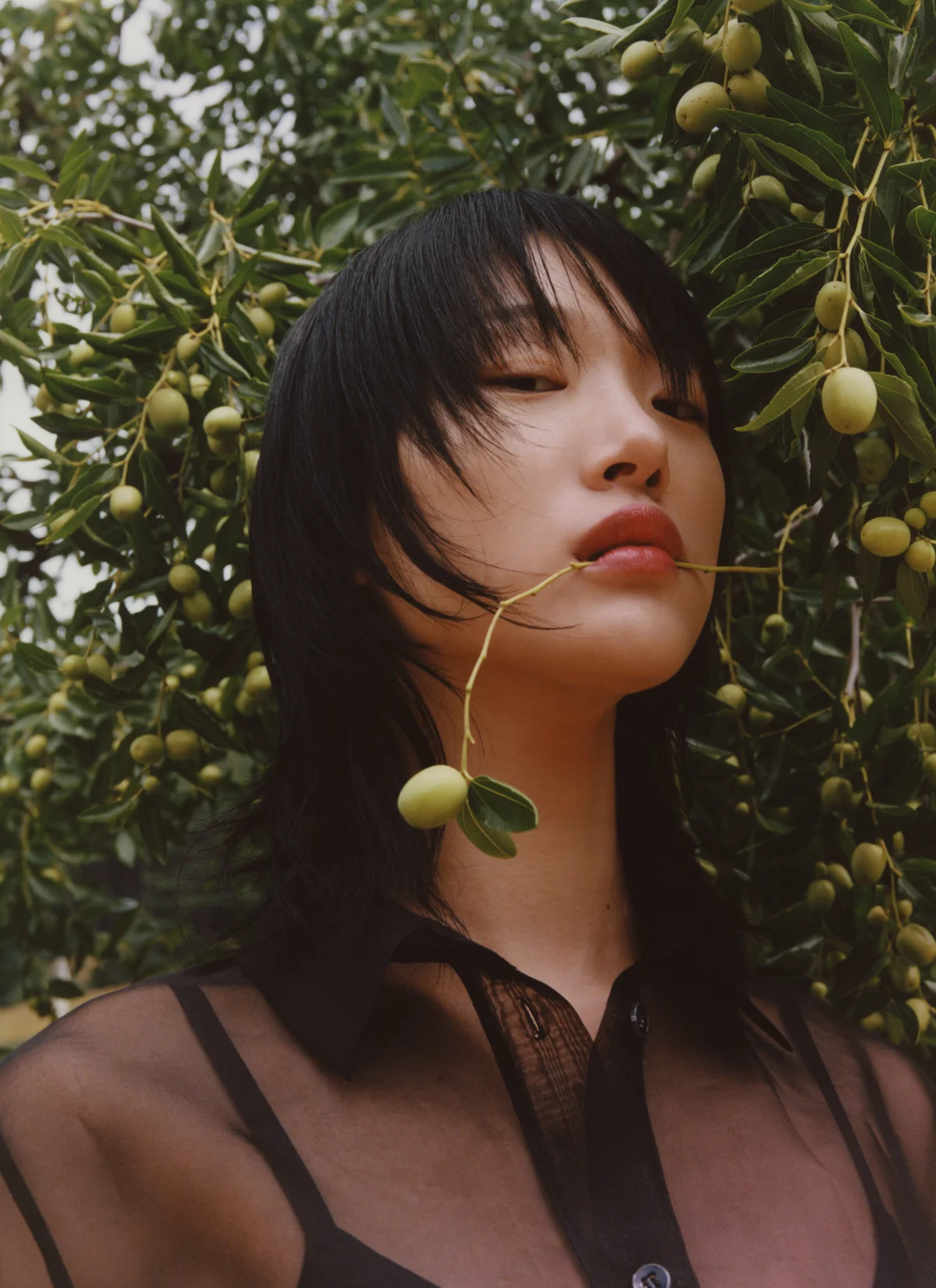 S/S RTW 20 18